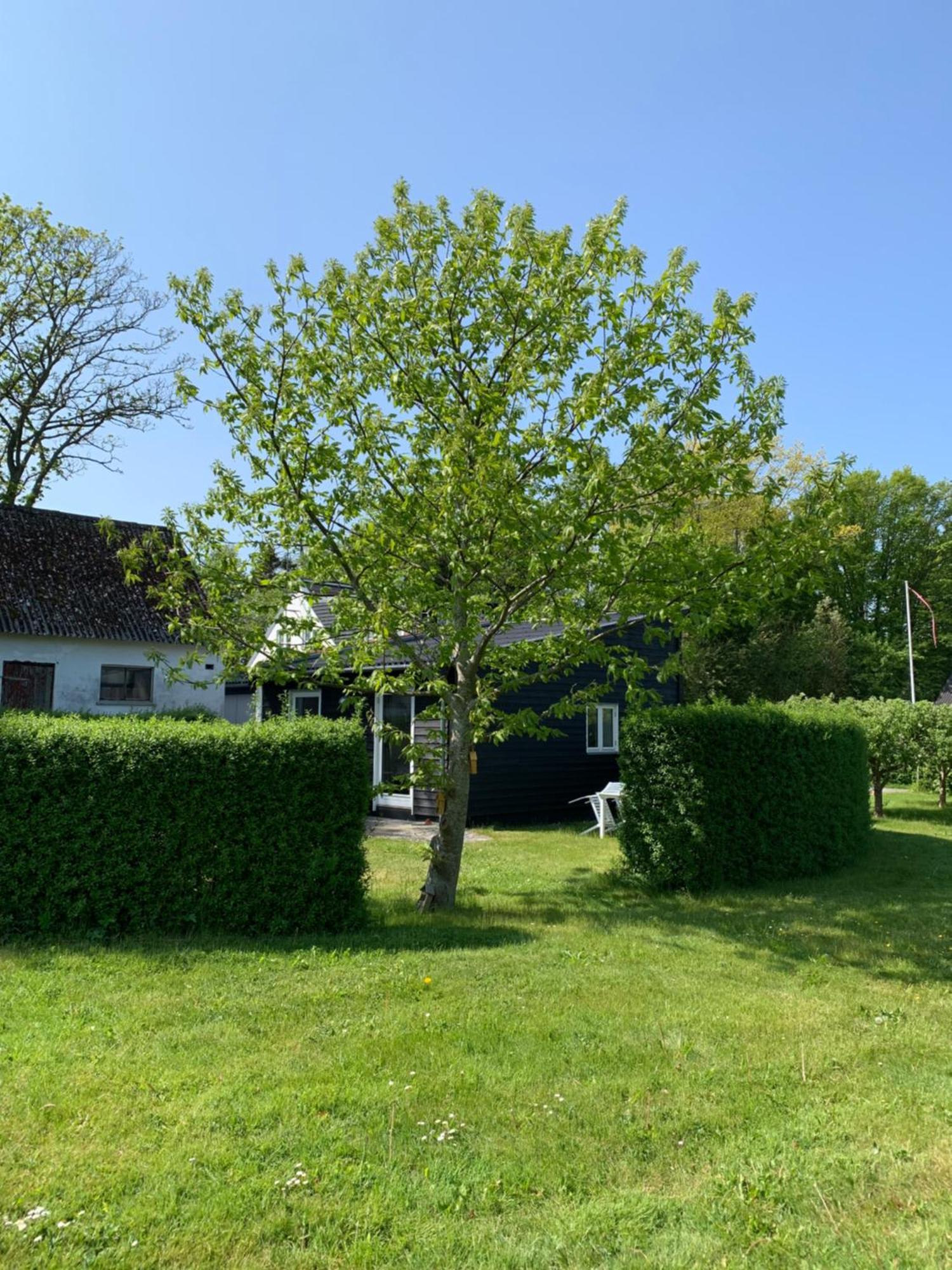 Tusindfrugt B&B Store Heddinge Eksteriør bilde